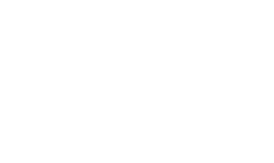 the columbus dispatch
