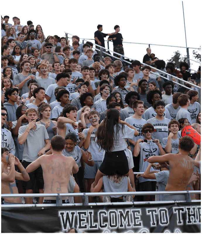 A large crowd of enthusiastic people wearing casual clothing and some with painted faces are gathered in bleachers, cheering and interacting energetically at an outdoor event. Descripci n generada con IA