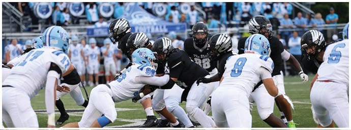 People in football uniforms are engaged in a play on a field with a crowd in the background. Descripci n generada con IA