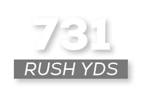 RUSH YDS,73