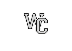 A red and yellow bird with a black beak. Description generated by AI