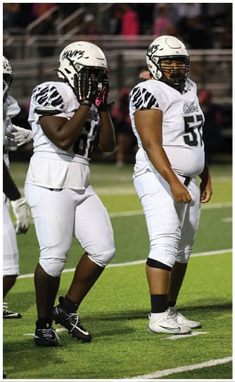 Two people wearing white football uniforms stand on a green field with blurred spectators in the background. Descripci n generada con IA