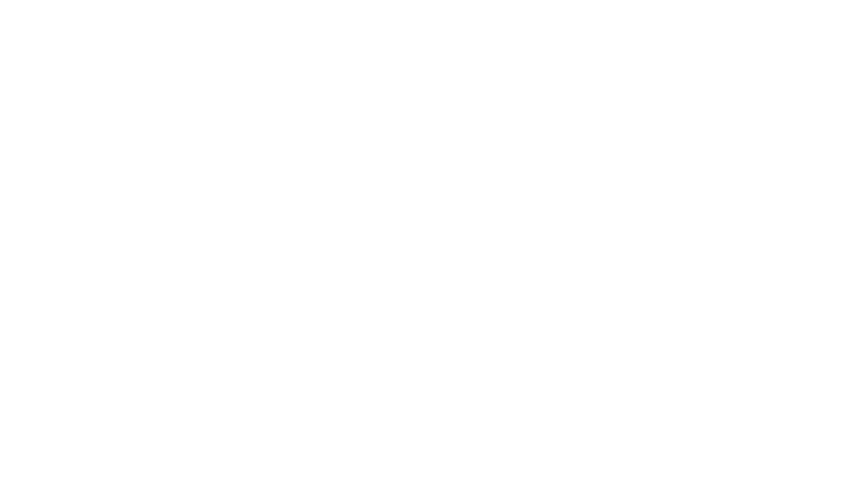 Brooke Vandergriff decision maker & fundraising coordinator matt hofferth content coordinator jen virgona fundraising...