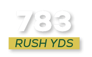 RUSH YDS,78