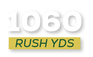 RUSH YDS,106