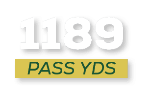pass YDS,118