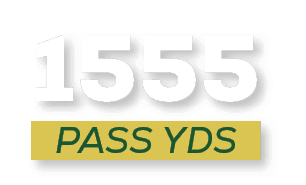 pass YDS,155