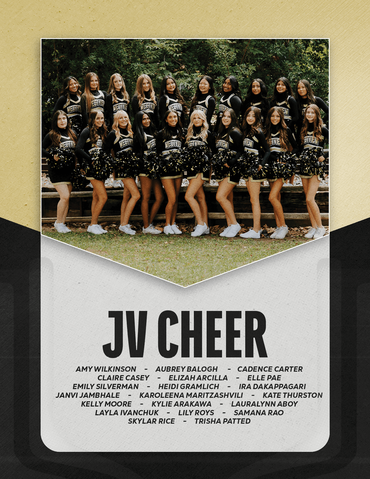 A group of people dressed in matching cheerleading uniforms pose outdoors on steps with pom-poms, above bold text reading JV CHEER and a list of names. Description generated by AI