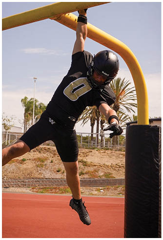 A person wearing a black football uniform and helmet is hanging from a yellow goalpost on a sports field with a red running track and palm trees in the background. Description generated by AI