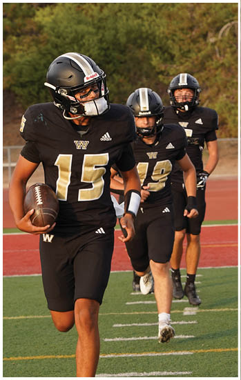 A football player running on the field. Description generated by AI