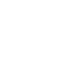 KIWI LOPEZ 4 TOTAL TKLS 225 KO YDS 