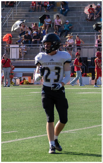 A football player running on the field. Description generated by AI