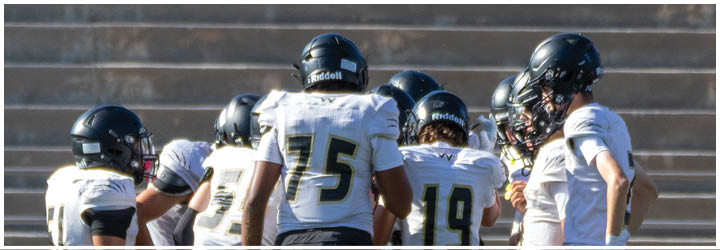 A group of football players on a field. Description generated by AI