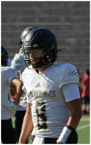 A football player running on the field. Description generated by AI