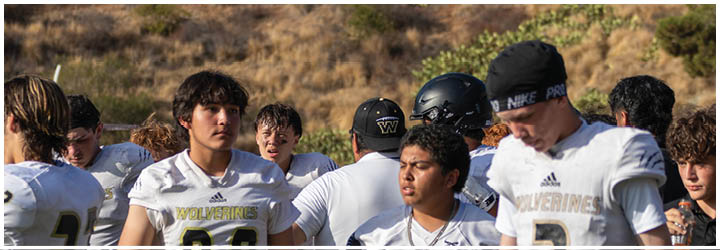 A group of football players on a field. Description generated by AI