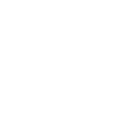 jett williams 