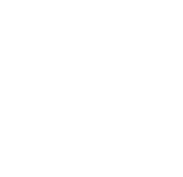 ryder magnus 