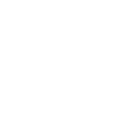 alex Schevciew