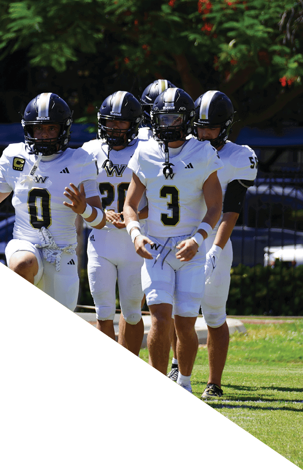 A football player is kneeling on the field, holding his helmet in his hands. AI generated content