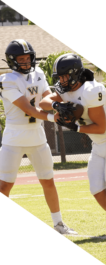 A football player wearing a white jersey with the number 86 catches a football in the air. AI generated content