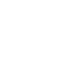 COOPER LIEN 