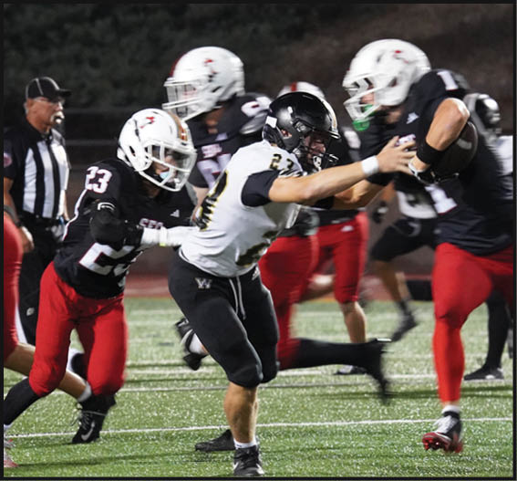 A group of football players celebrating a victory. AI generated content