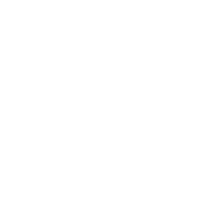GIBRAM LOPES ARELLANO 