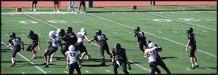 A group of football players on a field. Description generated by AI