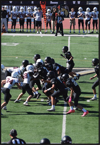A football player running on the field. Description generated by AI