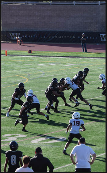 A football player running on the field. Description generated by AI