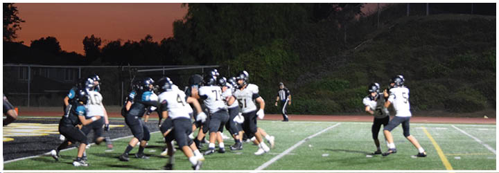 A group of football players on a field. Description generated by AI