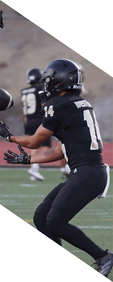 A football player wearing a white jersey with the number 86 catches a football in the air. AI generated content
