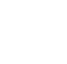 kiwi lopez 