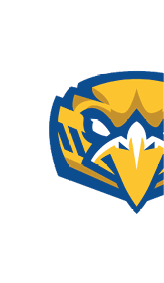 A stylized graphic logo of a fierce yellow and blue bird head with sharp eyes and a prominent beak. Description generated by AI