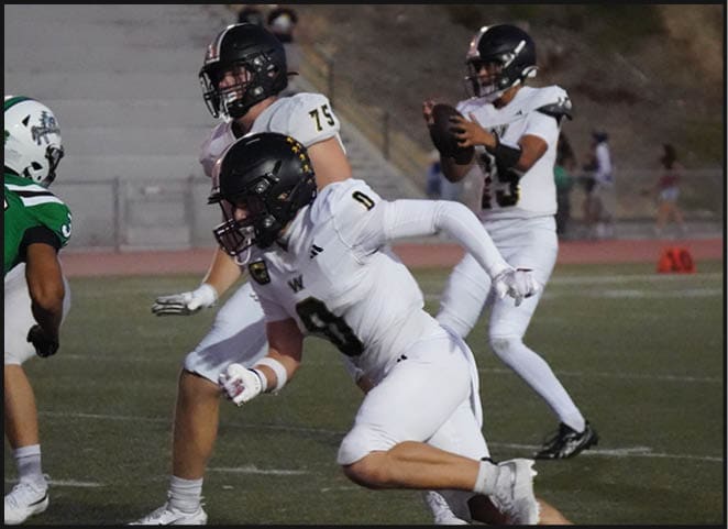 A person in a football uniform is holding a football and preparing to throw it on a field while another player in white is partially visible in the foreground. Description generated by AI