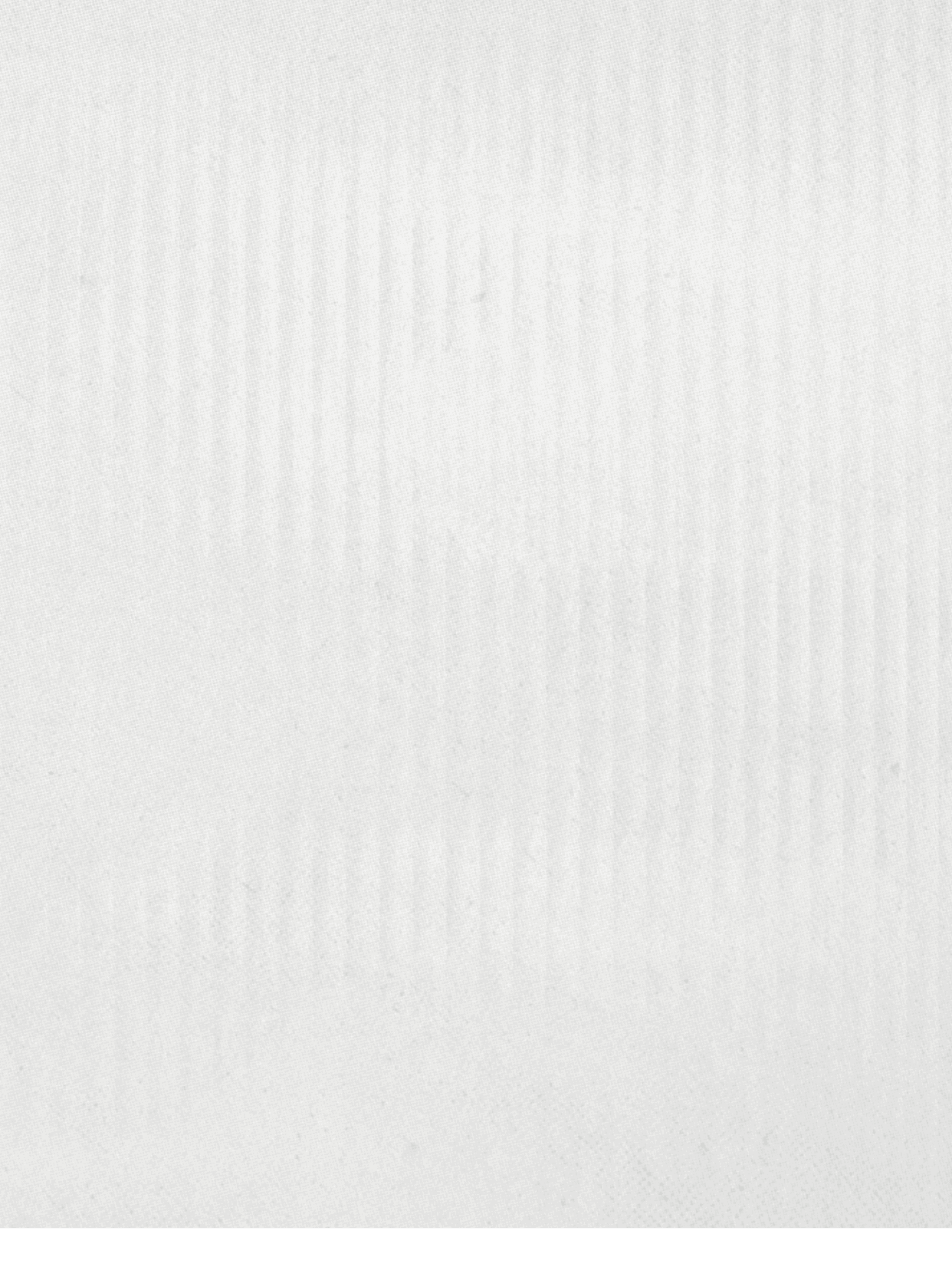 White cloth with a pattern. Description generated by AI