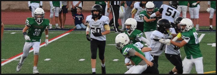 People in sports uniforms are actively playing football on a green field with yard lines and a red boundary line. Description generated by AI