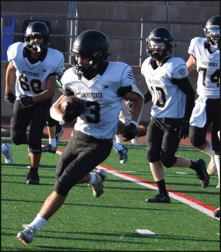 Several people wearing black helmets and white jerseys with “Wolverines" written on them are playing football on a green field, with one person running while holding the ball. Description generated by AI
