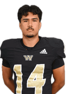 Person with short dark hair wearing a black Adidas football jersey with the number 14 and a “W" logo on the chest. Description generated by AI