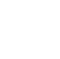 Ryan Stephanik