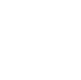 Vincent hu