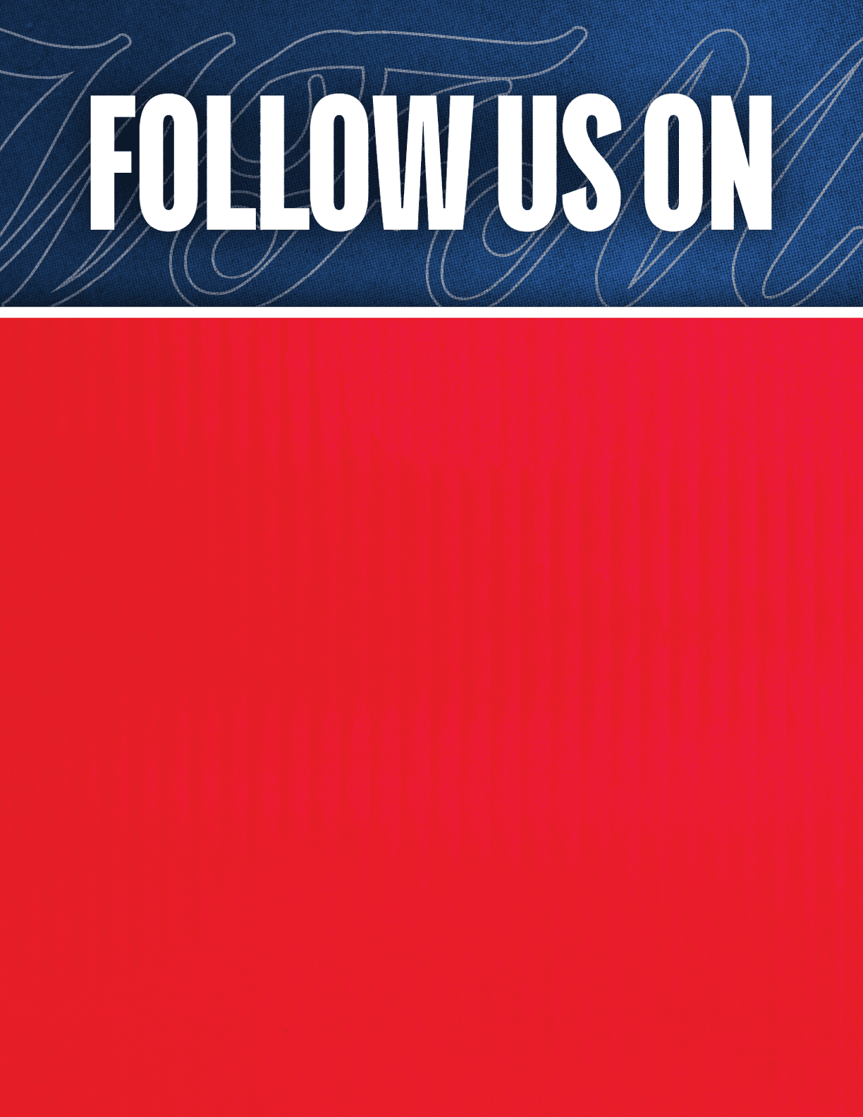 A red and blue striped fabric. Description generated by AI