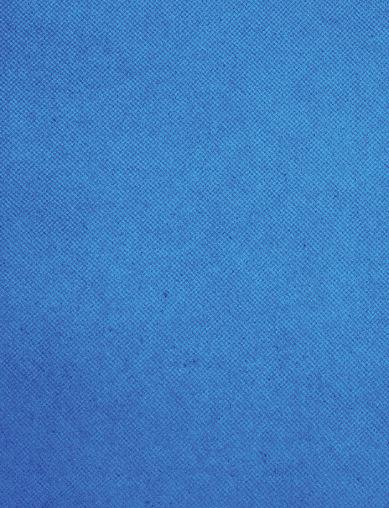 A blue cloth with a pattern. Description generated by AI