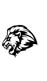 Lion head. Description generated by AI
