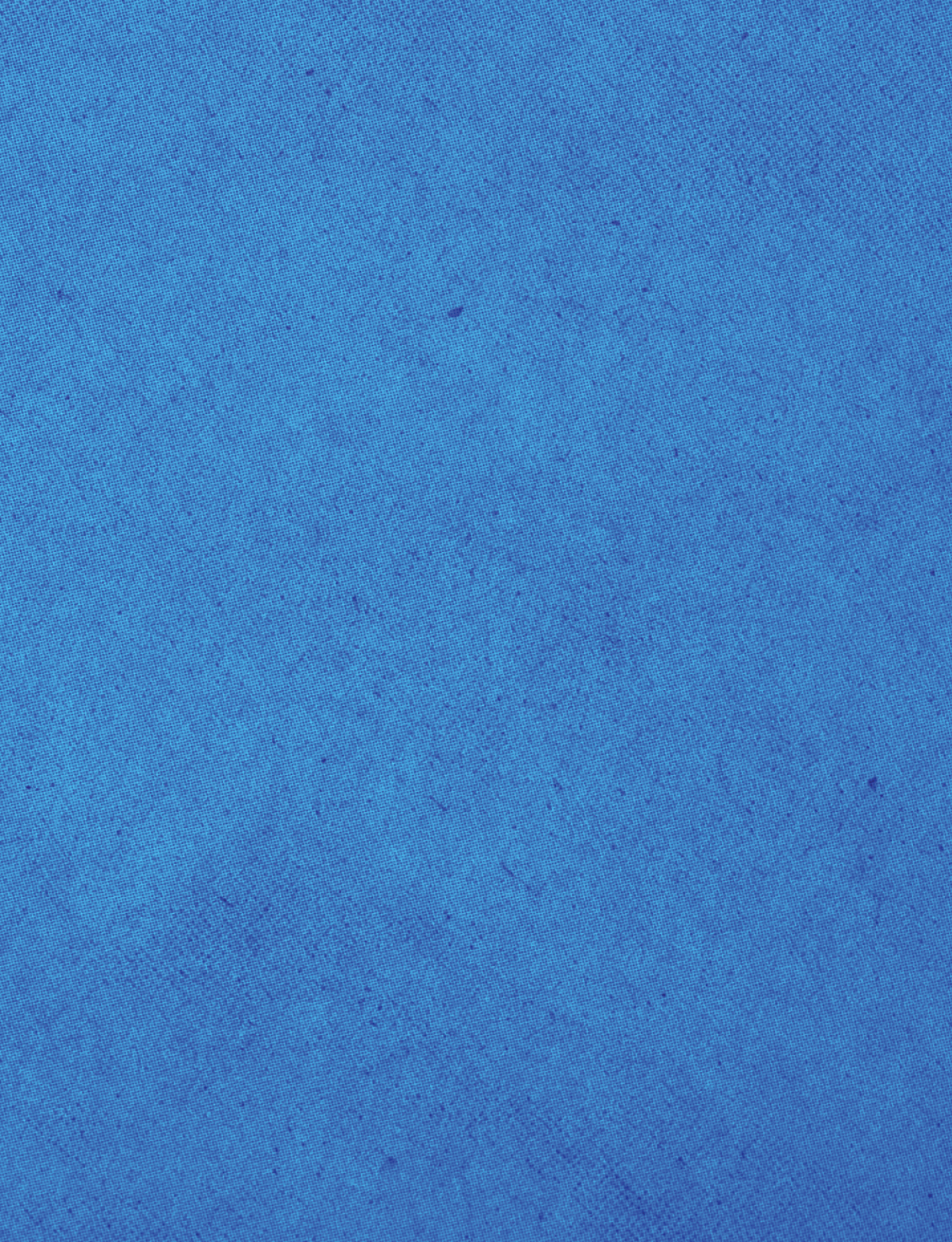 A blue cloth with a pattern. Description generated by AI