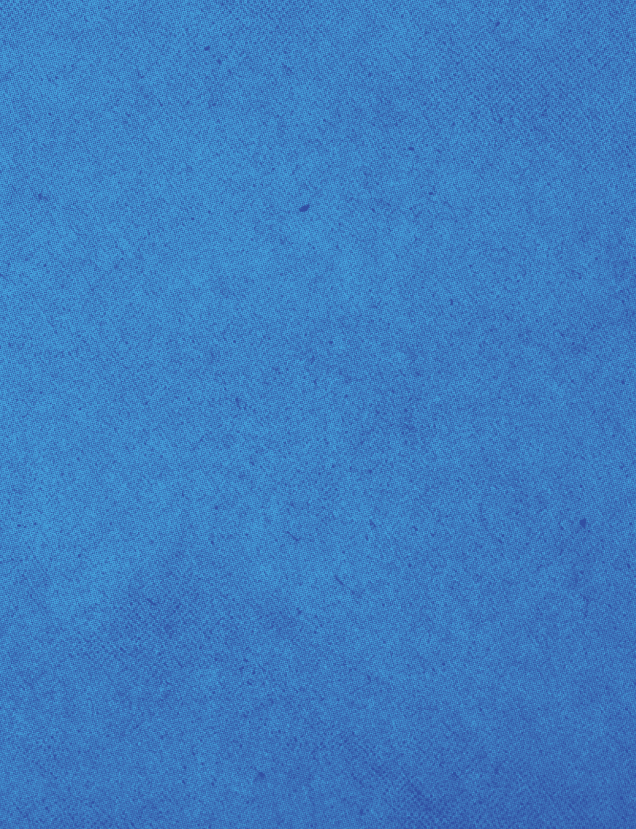 A blue cloth with a pattern. Description generated by AI