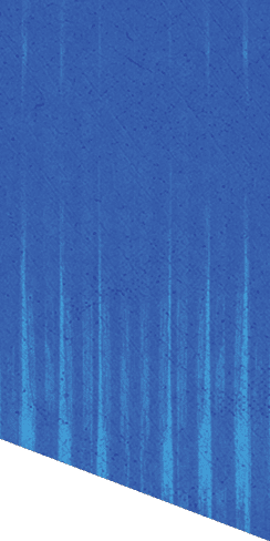 A green and white patterned background. Description generated by AI