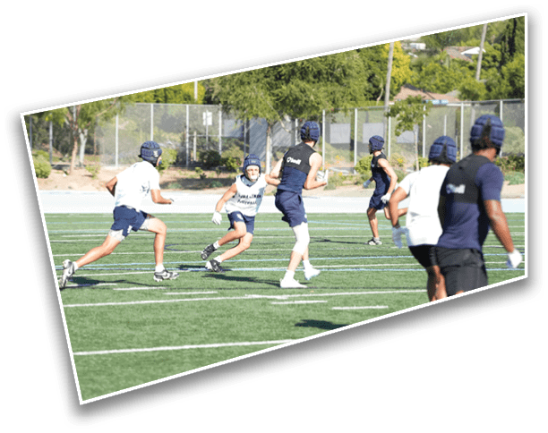 People wearing helmets and athletic clothing are playing a game on a grassy sports field with white yard lines. Description generated by AI