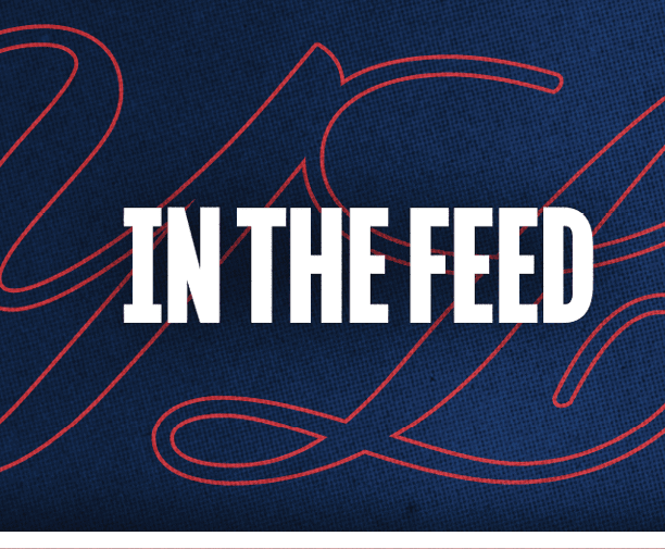 The text “IN THE FEED" is displayed in bold white capital letters on a dark blue textured background with red cursive lines. Description generated by AI