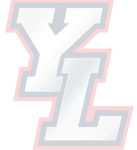The stylized letters Y and L are shown in a bold silver gradient with a navy blue outline and a red outer border. Description generated by AI